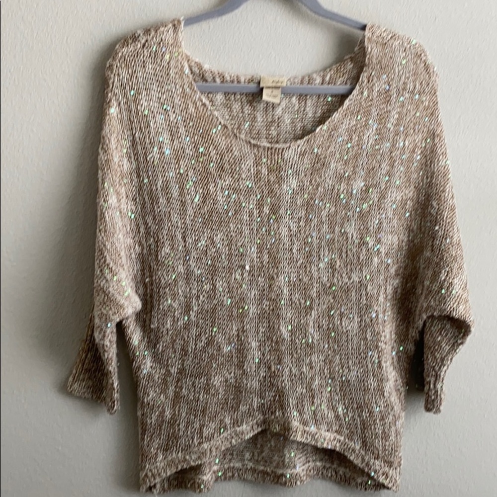 Knit Sequined Daytrip Sweater